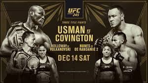UFC245