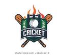 cricketLogo